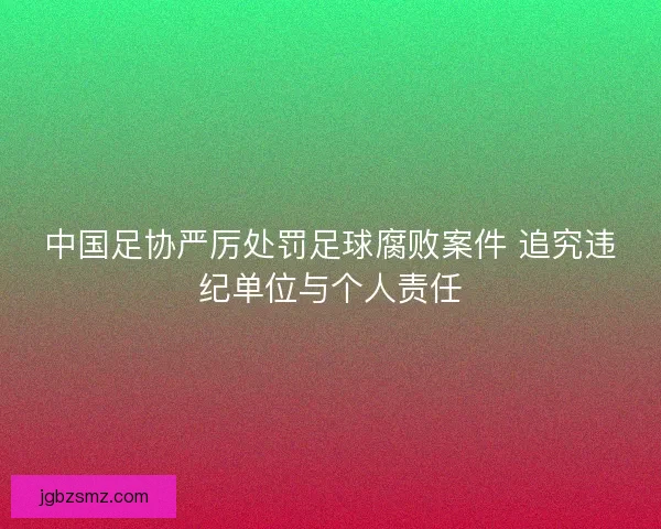 中国足协严厉处罚足球腐败案件 追究违纪单位与个人责任